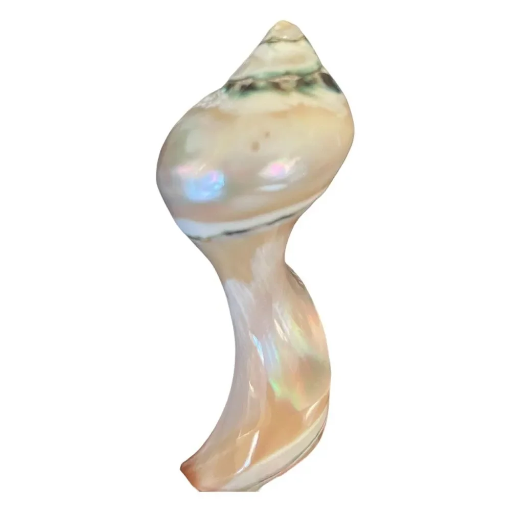 Vintage Mother of Pearl Seashell Caviar Serving Spoon Conch Hollywood Regency